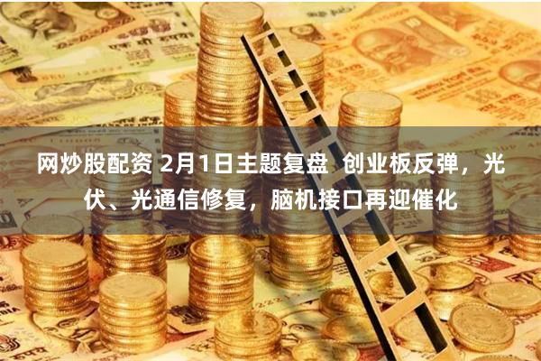 网炒股配资 2月1日主题复盘  创业板反弹，光伏、光通信修复，脑机接口再迎催化